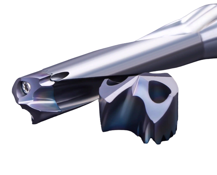 Broca dente-de-sabre