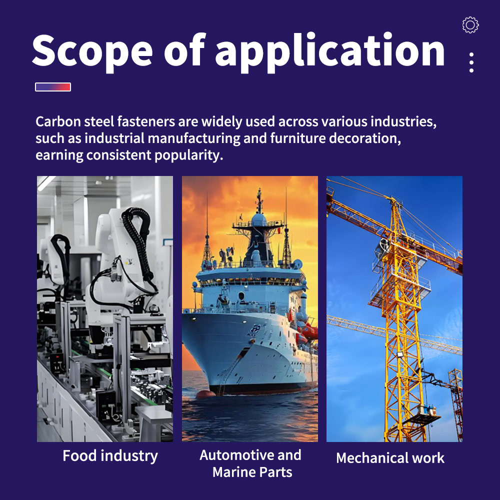 Geniş Uygulama Yaylı Kilit Rondelası