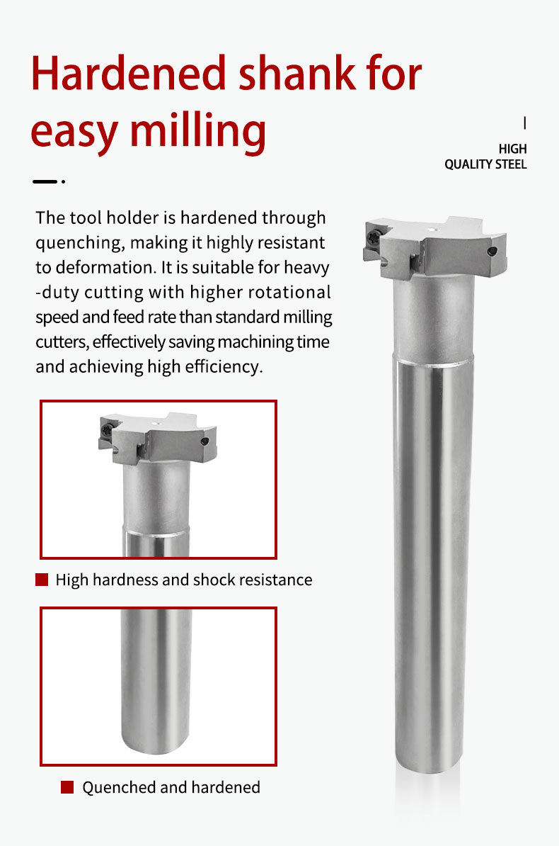 Disque HTS à rainure en T Ø100