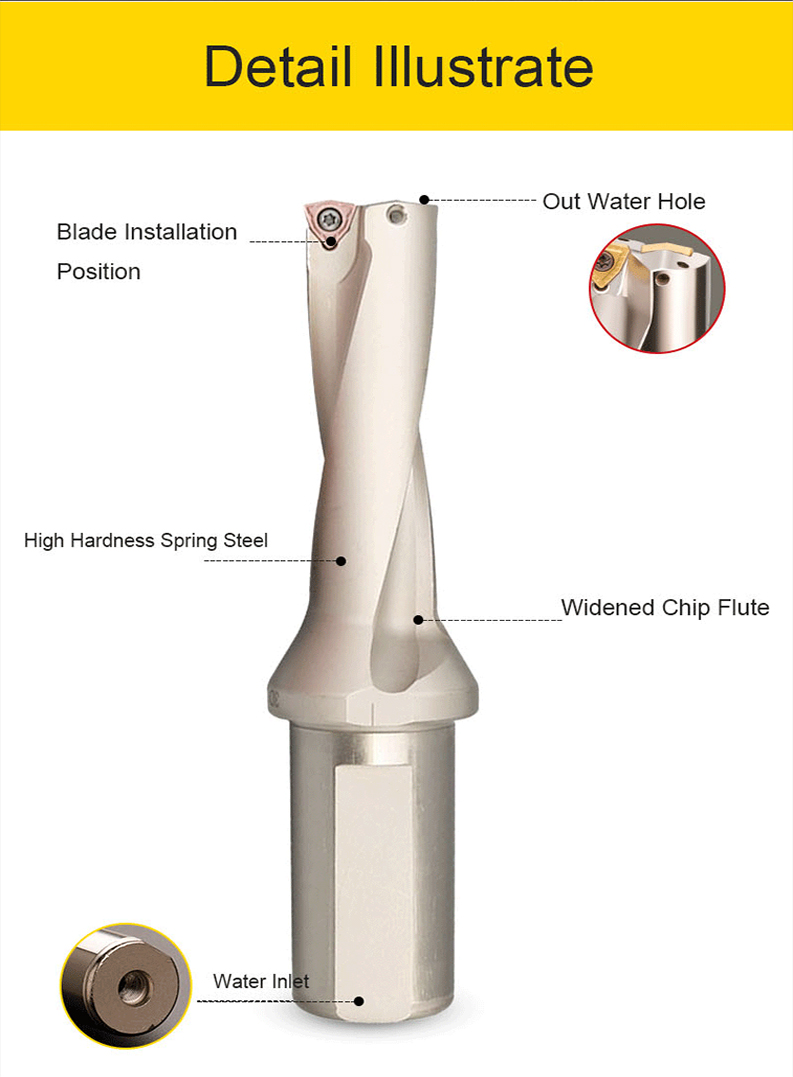 Foret U indexable.jpg Foret U indexable.jpg